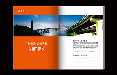 房地產(chǎn)企業(yè)宣傳畫冊(cè)設(shè)計(jì)