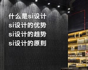 什么是si設計?